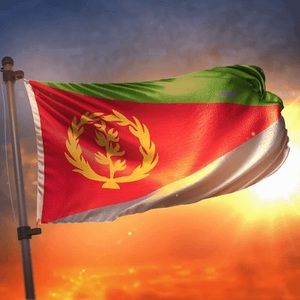 Meet your Posher, Abdella